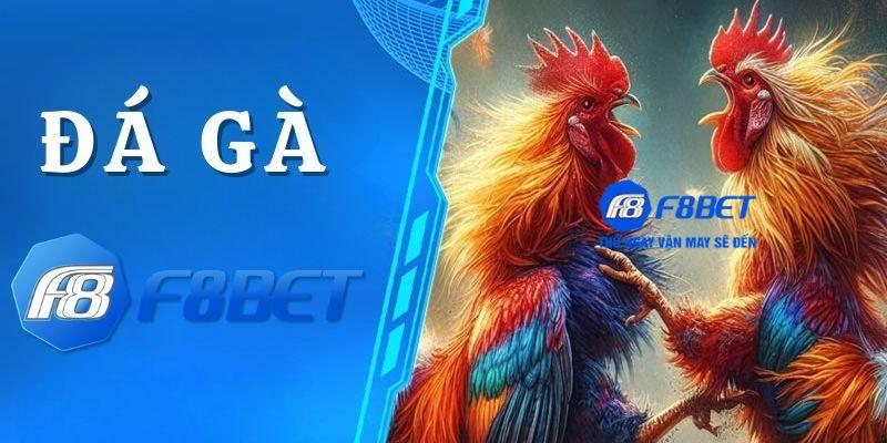 chơi game đá gà f8bet online trực tuyến dễ dàng